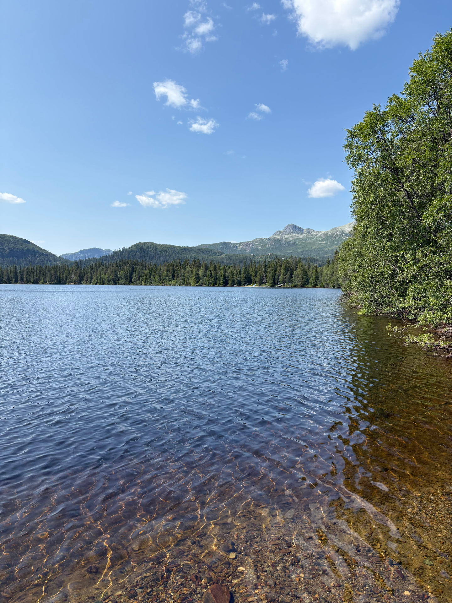 Sjö med skog och fjäll i bakgrunden
